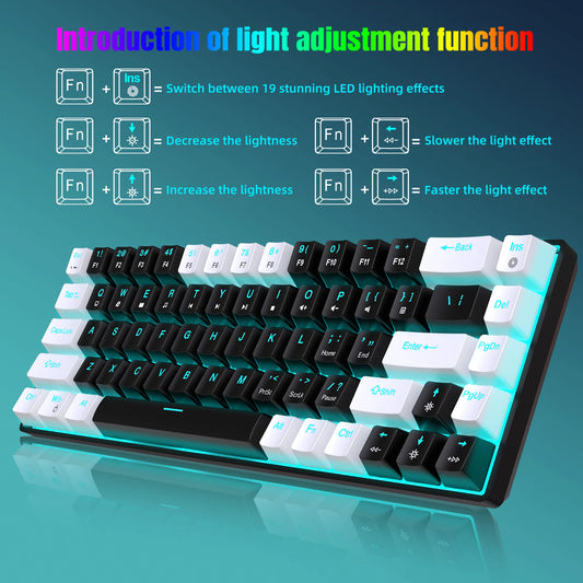 68 Keys Mechanical Keyboard Ergonomics RGB Backlit LED Hot Swappable