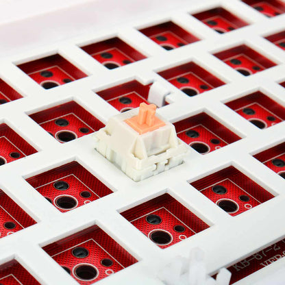 Mechanical Switch Holy Panda | Holy Panda Switches Keyboard | Switch
