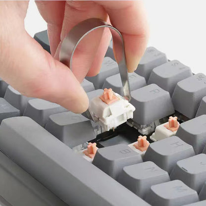 Mechanical Switch Holy Panda | Holy Panda Switches Keyboard | Switch