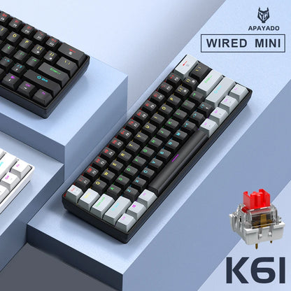 60% Portable Wired Mini Mechanical Keyboard, APAYADO K61 Mini Keyboard