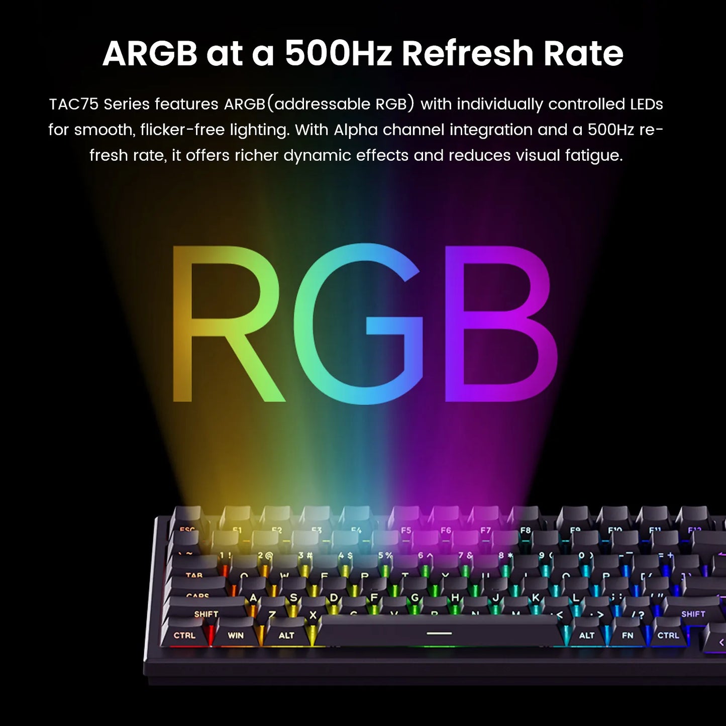 AKKO TAC75 HE Magnetic Switch Keyboard 75% Gaming Keyboards Rapid