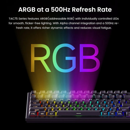 AKKO TAC75 HE Magnetic Switch Keyboard 75% Gaming Keyboards Rapid